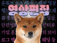 영상편집자 - 크몽 서비스 검색