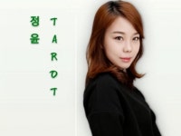 타로:  정윤의 힐링TAROT 차분한 통찰력으로 상담해드립니다 | 크몽