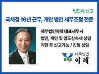 사업계획·리포트, 재무 자문 전문가 세무법인이레노재기 - 크몽