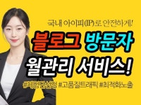 블로그 방문자 - 크몽 서비스 검색