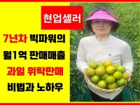 농산물 스마트스토어 - 크몽 서비스 검색