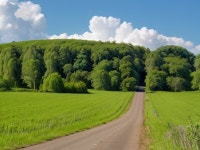 A+ - 크몽 서비스 검색