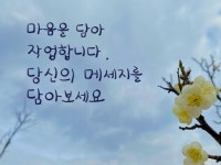 캘리그라피∙폰트∙사인 전문가 walking with - 크몽