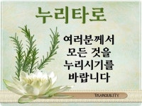 타로 전문가 누리타로 - 크몽