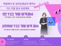 TCI 기질성격 검사 - 크몽