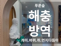 청소 전문가 해충방역푸른숲 - 크몽