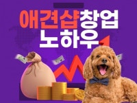 창업 자문 전문가 댕집사장 - 크몽