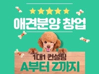 창업 자문 전문가 댕집사장 - 크몽