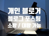 바이럴∙체험단, 최적화 노출 전문가 바보돌탱이 - 크몽