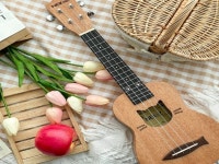 우쿨렐레 - 크몽 서비스 검색