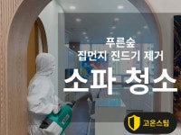 청소 전문가 해충방역푸른숲 - 크몽