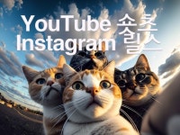 유튜브 영상제작 - 크몽 서비스 검색