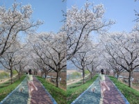 화보작업 - 크몽 서비스 검색