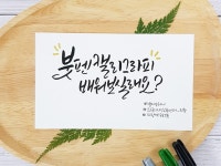 취미·문화 레슨 과외:  [경기 의왕] 힐링 취미 붓펜 캘리그라피 레슨해드립니다 크몽