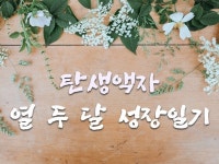 ssysysy - 100%의 만족도, 30개의 프로젝트를 완료한 레슨·실무교육, 영상촬영·편집, 영상·사진·음향, 영상제작, 디자인, SNS 디자인(유튜브... 