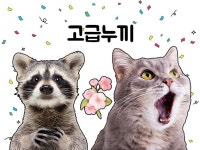 포토샵 보정 - 크몽 서비스 검색