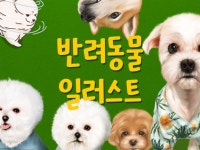 SNS콘텐츠 - 크몽 포트폴리오 검색