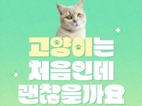반려동물 케어 전문가 모리집사 - 크몽