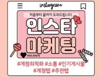 보험 - 크몽 서비스 검색