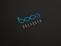 C - 크몽 서비스 검색