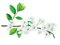 수채화 일러스트 - 크몽 서비스 검색