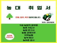 마케팅 글쓰기, 자격증 상담 전문가 인터뷰어 - 크몽