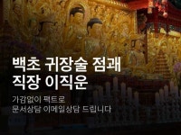 드립백 - 크몽 서비스 검색