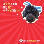 포토샵편집 외주:  누끼, 보정, 합성 등 포토샵 작업해드립니다 크몽
