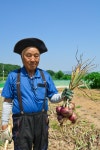 포토샵편집 외주:  누끼, 보정, 합성 등 포토샵 작업해드립니다 크몽