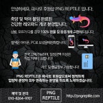 SNS·커뮤니티 외주:  SNS 컨텐츠 / 카드뉴스 / 블로그이미지 다양한 컨텐츠로 제작해드립니다 크몽