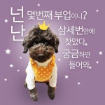 포토샵편집 외주: 누끼, 보정, 합성 등 포토샵 작업해드립니다 크몽