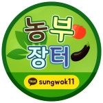 SNS·커뮤니티 외주:  블로그 카페 SNS 스킨 디자인해드립니다 크몽