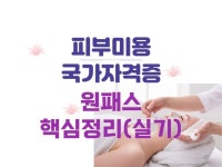 웹사이트 신규 제작, 모바일앱 신규 제작 전문가 더백THE100 - 크몽