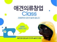 반려동물 옷 - 크몽 서비스 검색