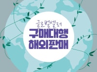 구매대행,해외 판매 글로벌셀러의 실무 노하우를 저렴한 비용으로 핵심/진짜후기만 전해 드립니다 크몽 - 당신의 비즈니스를 도와드립니다...