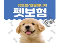 가격 비교 - 크몽 서비스 검색