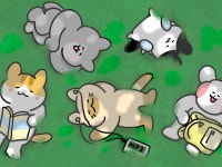 드립백 - 크몽 서비스 검색