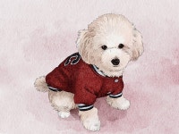 감성적인그림 - 크몽 서비스 검색