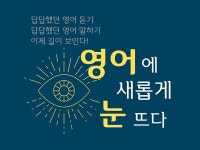 번역, 통역 전문가 DreamAnew - 크몽