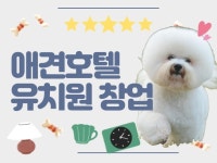 창업 자문 전문가 댕집사장 - 크몽