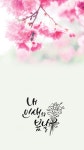취미·문화 레슨 과외:  [캘리하윰]캘리그라피 원데이클래스 쉽고 재미있게 강의해드립니다 크몽