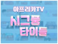 아프리카 시그 - 크몽 포트폴리오 검색