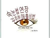 속눈썹 창업 - 크몽 서비스 검색