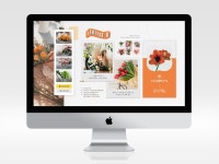 블로그 맞춤제작 - 크몽 서비스 검색