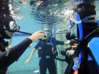 스포츠 레슨 과외:  [서울]스쿠버다이빙 체험을 시켜드립니다 | 크몽