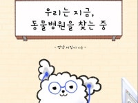 동물병원 - 크몽 서비스 검색