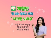 블로그 n잡 - 크몽 서비스 검색