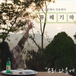 Naver 搜索结果照片 6
