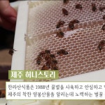 제주벌꿀체험농장 허니스토리 매장/제품 홍보인터뷰영상 및 온라인KIT가이드, 광고·홍보 영상 포트폴리오 - 크몽