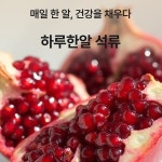 하루한알 석류, 상세페이지 포트폴리오 - 크몽